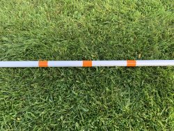831126-bom-orange-kaninhinder
